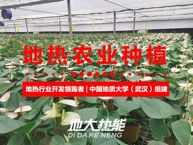 濟(jì)南：“地?zé)崮?農(nóng)業(yè)”產(chǎn)業(yè)融合，讓地?zé)崮苷嬲盁帷逼饋?lái)-地大熱能