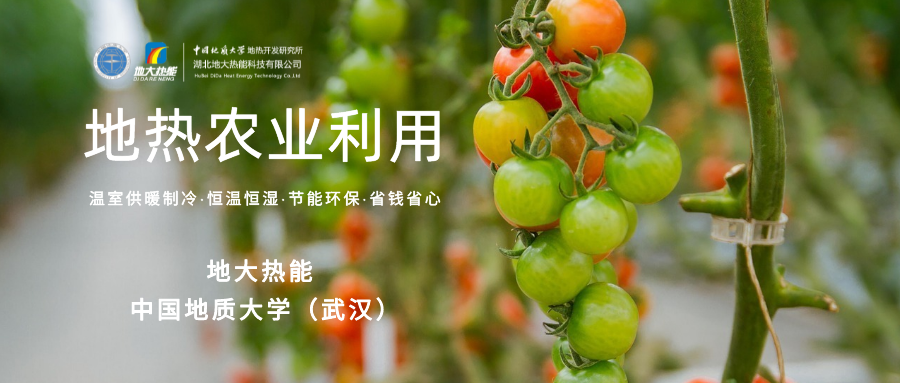 利用地?zé)峤鉀Q糧食生產(chǎn)問(wèn)題并促進(jìn)發(fā)展-地?zé)豳Y源開(kāi)發(fā)利用-地大熱能 利用地?zé)峤鉀Q糧食生產(chǎn)問(wèn)題并促進(jìn)發(fā)展-地?zé)豳Y源開(kāi)發(fā)利用-地大熱能